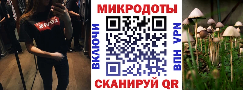 Купить где  Великий Новгород  Галлюциногенные грибы Psilocybine cubensis 