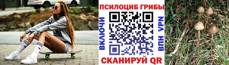 Псилоцибиновые грибы MAGIC MUSHROOMS Великий Новгород