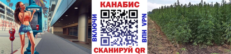 Марихуана SATIVA & INDICA  Купить где  Великий Новгород 